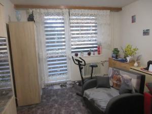 Prodej bytu 1+1, Hluk, Závodní, 41 m2