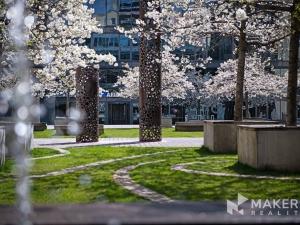 Pronájem kanceláře, Praha - Holešovice, Jankovcova, 237 m2