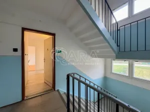 Pronájem bytu 2+1, Lenora, 46 m2