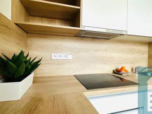 Pronájem bytu 1+1, Kroměříž, Denkova, 36 m2