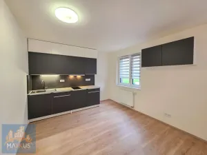 Pronájem bytu 1+kk, Praha - Hlubočepy, Werichova, 31 m2