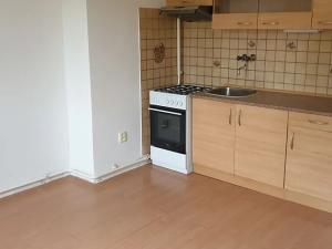 Pronájem bytu 1+kk, Novosedlice, Drahénská, 30 m2