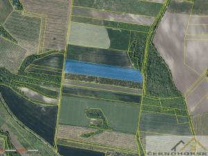 Prodej sadu/vinice, Želkovice, 59448 m2