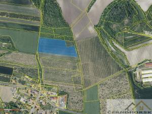 Prodej sadu/vinice, Želkovice, 59448 m2