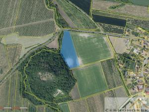 Prodej sadu/vinice, Želkovice, 59448 m2