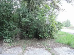 Dražba lesa, Kladno, 2465 m2