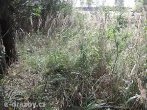 Dražba pozemku, Čisovice, 11062 m2