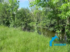 Pronájem zahrady, Malá Veleň, 3534 m2