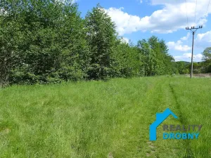 Pronájem zahrady, Malá Veleň, 3534 m2