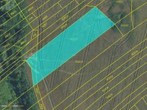 Prodej pole, Kyjov, 7194 m2