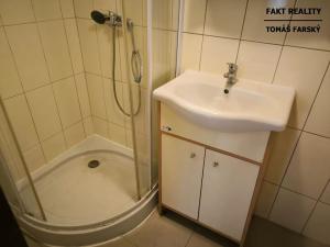 Pronájem bytu 1+kk, Děčín, Teplická, 19 m2