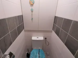 Prodej bytu 2+1, Frýdlant nad Ostravicí, Jiráskova, 52 m2