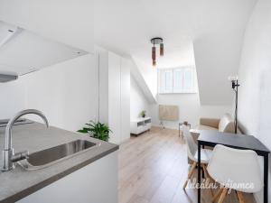 Pronájem bytu 1+kk, Praha - Nusle, Petra Rezka, 23 m2