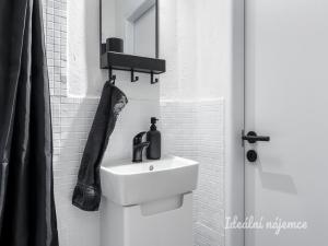 Pronájem bytu 1+kk, Praha - Nusle, Petra Rezka, 23 m2