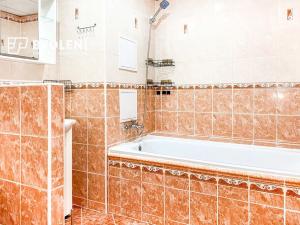 Pronájem bytu 3+1, Most, Moskevská, 65 m2