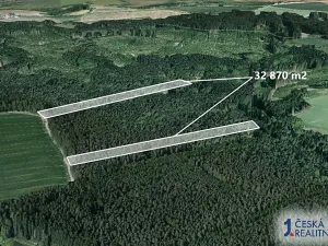 Prodej lesa, Chrbonín, 32870 m2