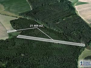 Prodej lesa, Chrbonín, 21469 m2