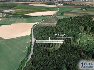 Prodej lesa, Petrůvky, 711 m2