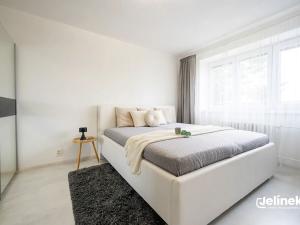 Prodej bytu 2+1, Žďár nad Sázavou, Brodská, 51 m2