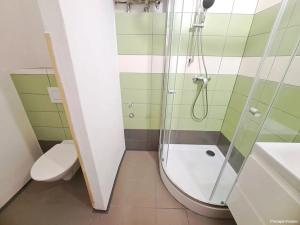 Pronájem bytu 1+1, Pardubice, Jana Palacha, 38 m2