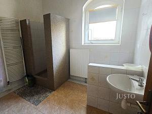 Prodej rodinného domu, Písek, Kocínova, 300 m2