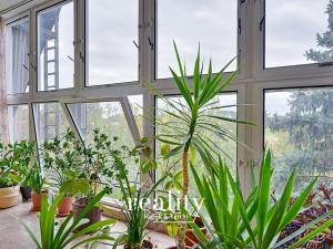 Prodej rodinného domu, Hodonice, U Pošty, 480 m2