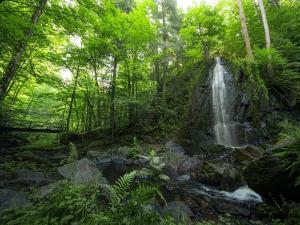 Prodej domu, Nové Hrady, 880 m2