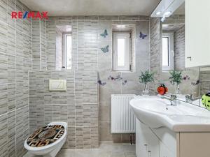 Prodej vícegeneračního domu, České Velenice, Komenského, 247 m2