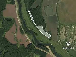 Prodej podílu lesa, Ladná, 1692 m2