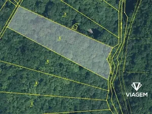Prodej podílu lesa, Brno, 1092 m2
