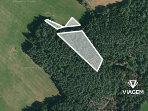 Prodej podílu lesa, Zahorčice, 326 m2