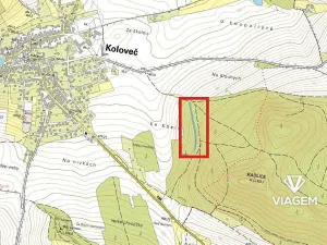 Prodej podílu lesa, Koloveč, 859 m2