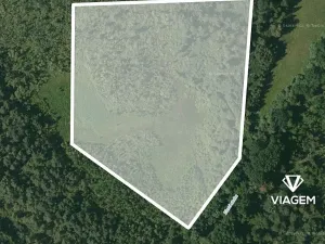 Prodej podílu lesa, Veselí nad Lužnicí, 20552 m2