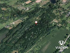 Prodej podílu lesa, Doubrava, 8873 m2