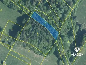 Prodej podílu lesa, Horní Lideč, 662 m2