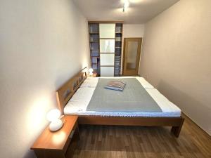 Pronájem bytu 2+kk, Benešov, Dukelská, 63 m2