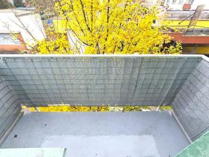 Pronájem bytu 2+kk, Benešov, Dukelská, 63 m2