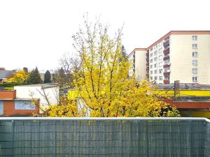 Pronájem bytu 2+kk, Benešov, Dukelská, 63 m2