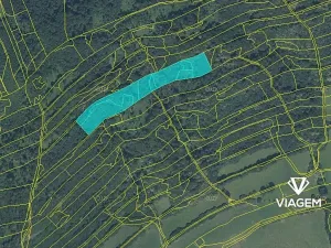 Prodej podílu lesa, Nový Jičín, 3706 m2
