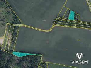 Prodej lesa, Bačice, 8463 m2