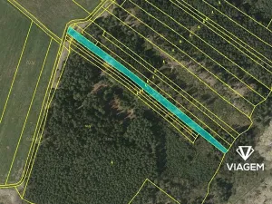 Prodej podílu lesa, Drahov, 3880 m2