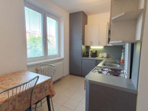 Pronájem bytu 2+1, Praha - Vršovice, náměstí Svatopluka Čecha, 55 m2