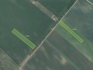 Prodej pole, Velké Bílovice, 12186 m2