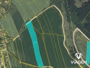 Prodej podílu pole, Semanín, 21211 m2