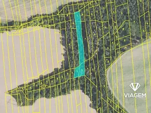 Prodej lesa, Chyňava, 3078 m2