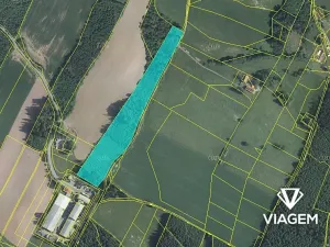 Prodej podílu lesa, Lomnice nad Popelkou, 11413 m2