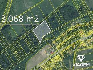 Prodej podílu lesa, Brod nad Dyjí, 3068 m2