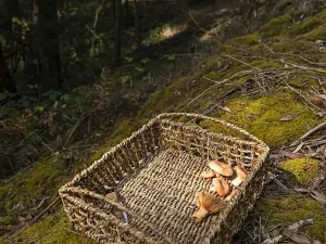 Prodej podílu zahrady, Halenkovice, 1171 m2