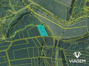 Prodej lesa, Hvozdná, 4164 m2