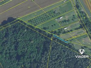 Prodej podílu lesa, Březolupy, 446 m2